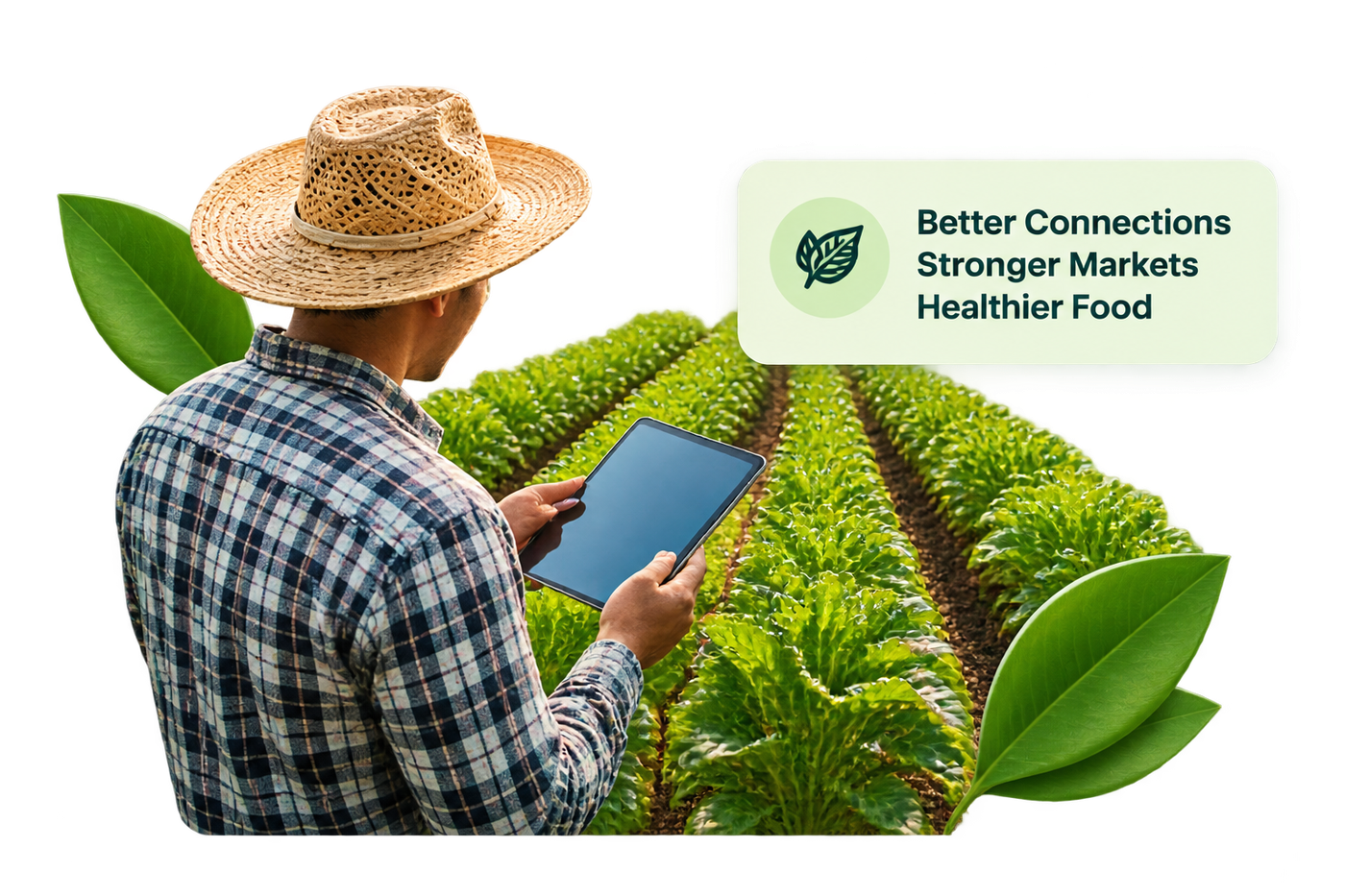 A Global Marketplace for a Healthier Future